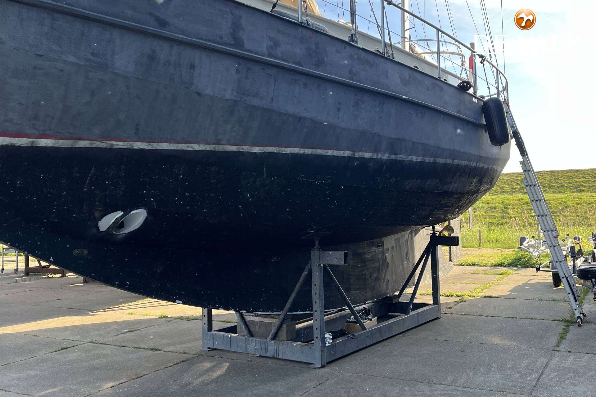 Danish Rose42