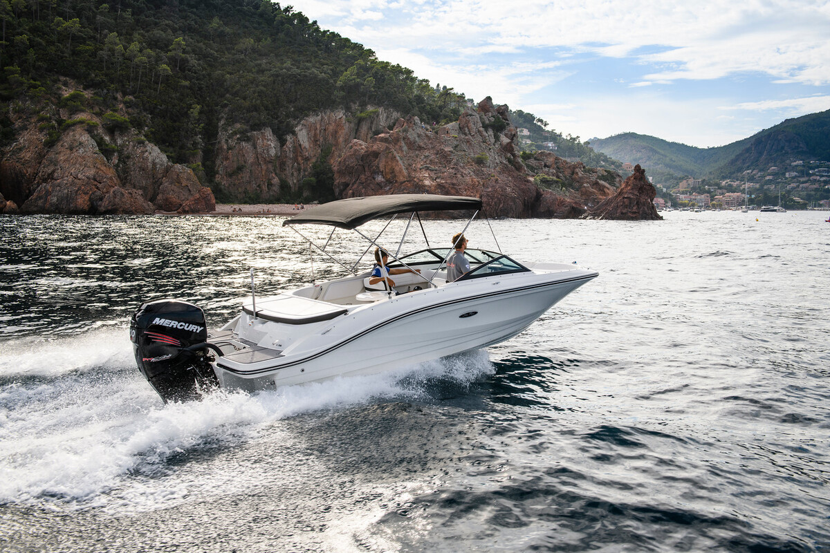 Sea Ray SPX 210 Outboard — foto 19 van 19