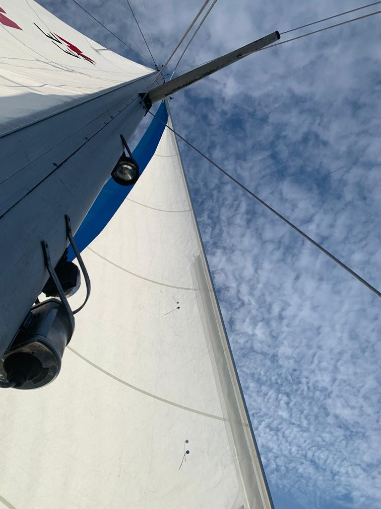 Siltala Nauticat 33 — foto 11 van 59
