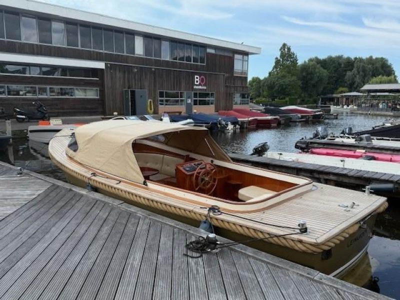 Unique koningsvlet — foto 4 van 9