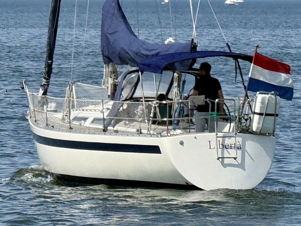 Contrast 36 — foto 12 van 12