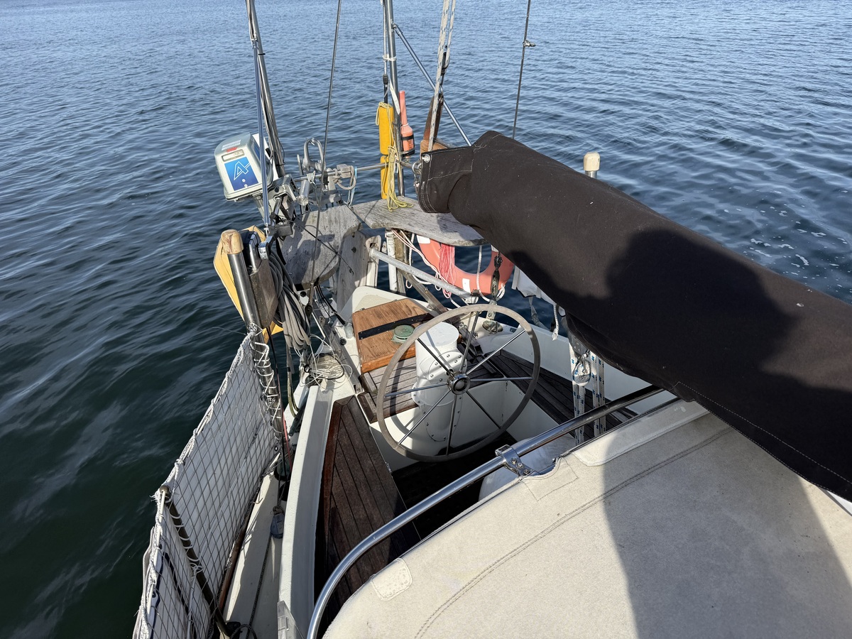 ORCA 38 — foto 50 van 74