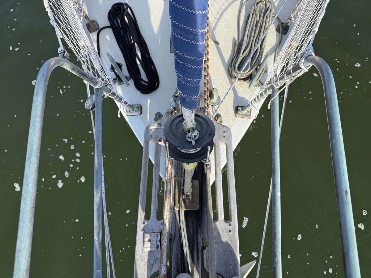 ORCA 38 — foto 58 van 74
