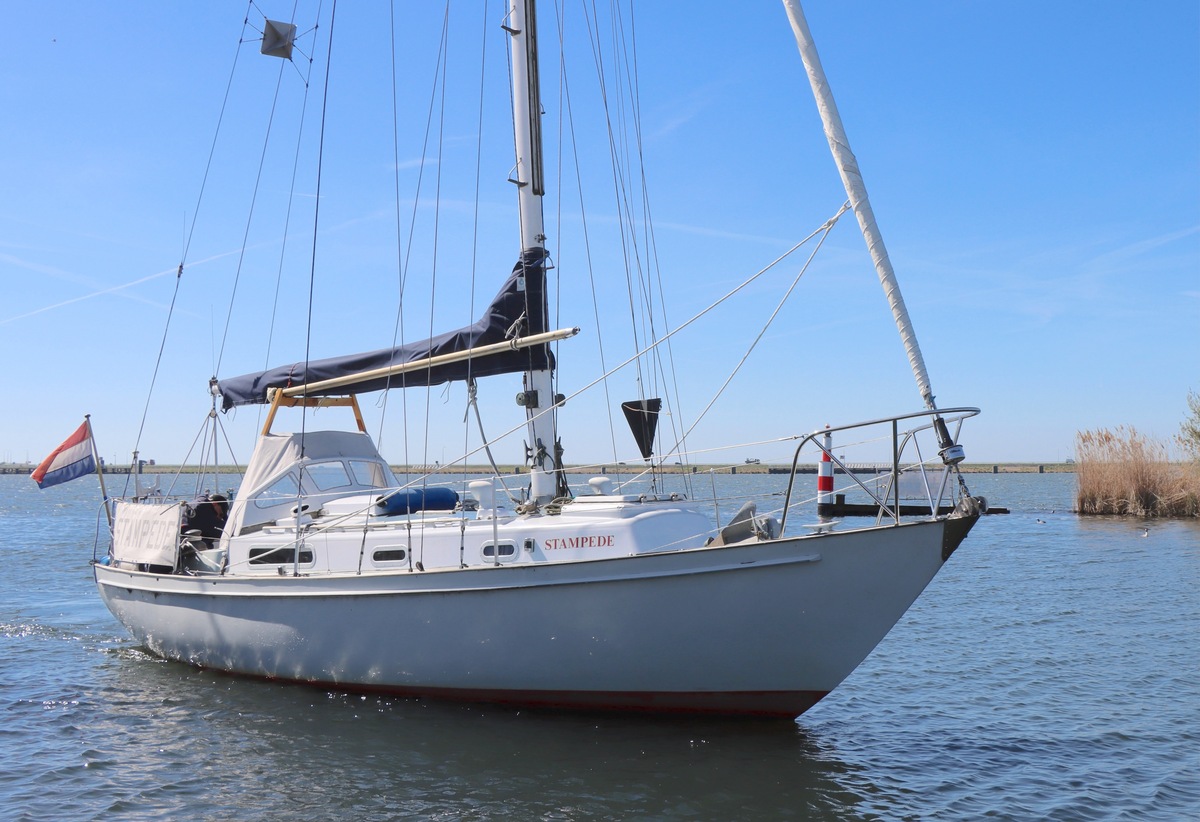 Rustler 31 Stampede