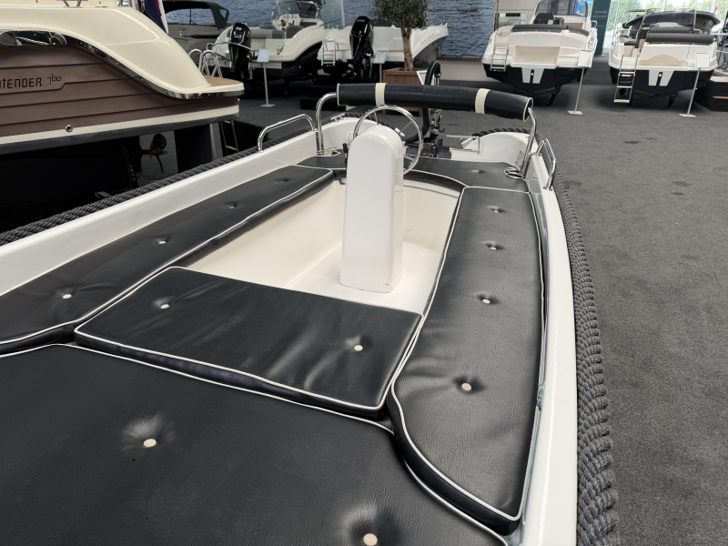 Family 430 Elegance + Haswing 4.0 elektromotor — foto 4 van 9