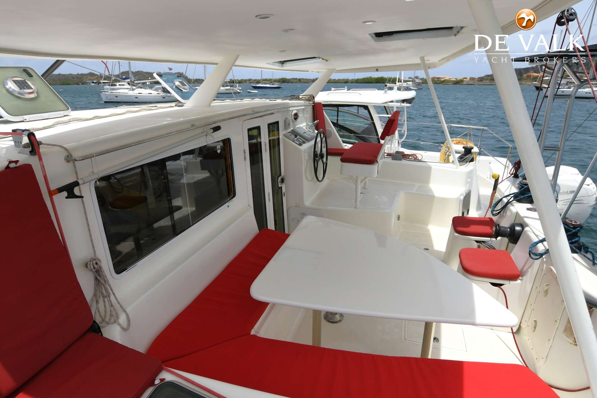 African Cats GreenCat 445 — foto 8 van 38