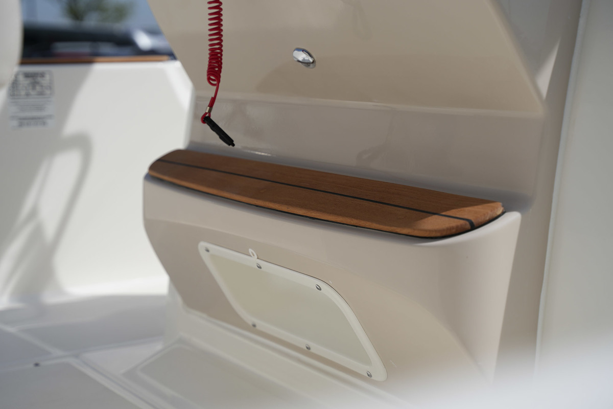 Boston Whaler 210 Montauk — foto 16 van 28