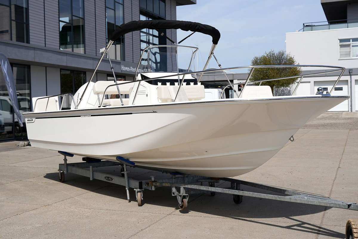 Boston Whaler 210 Montauk — foto 8 van 28