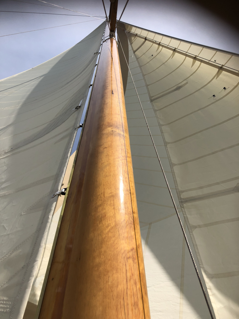 Cantiere Navale Postiglinio San Domenico — foto 16 van 73