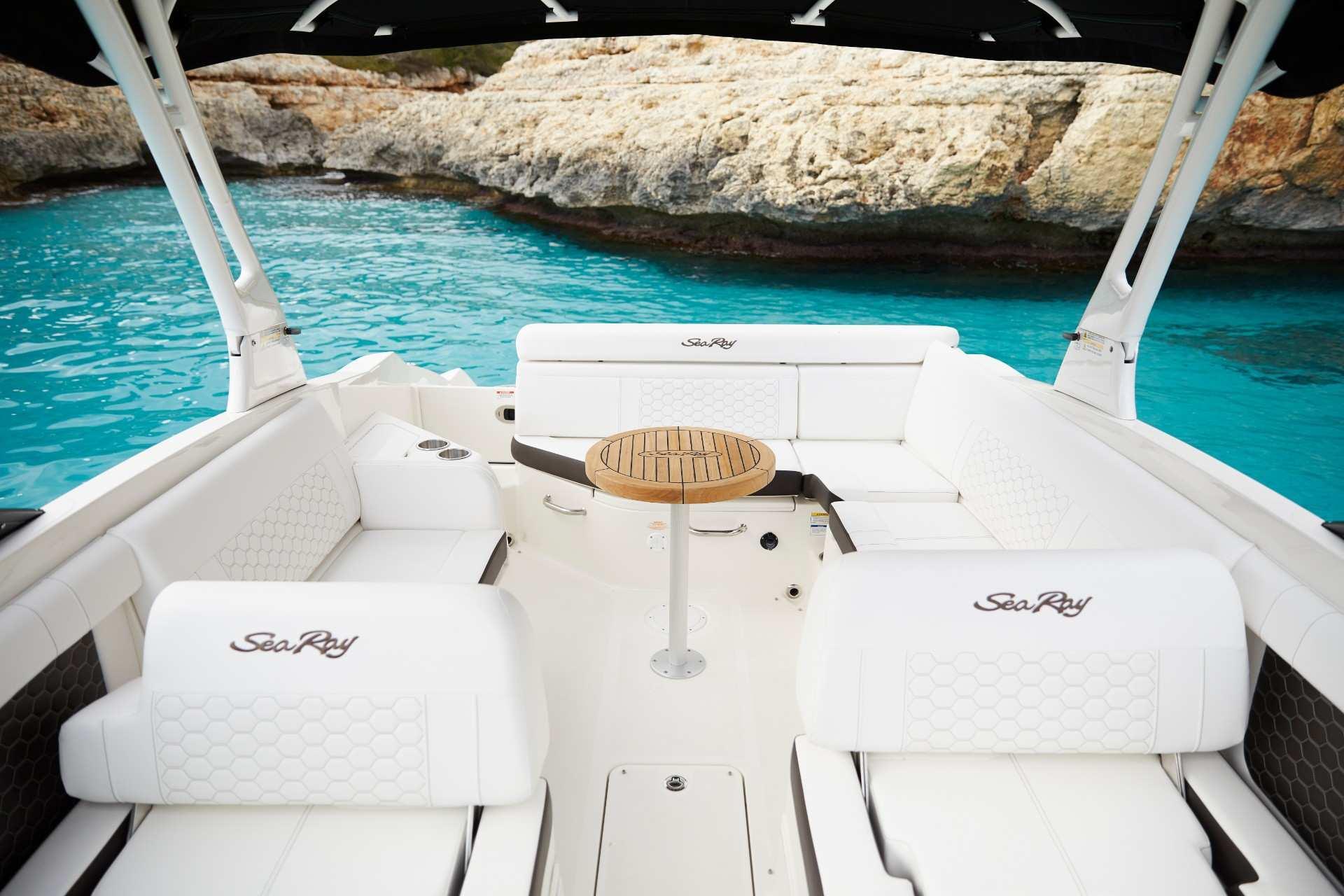 Sea Ray SDX 270 — foto 7 van 11