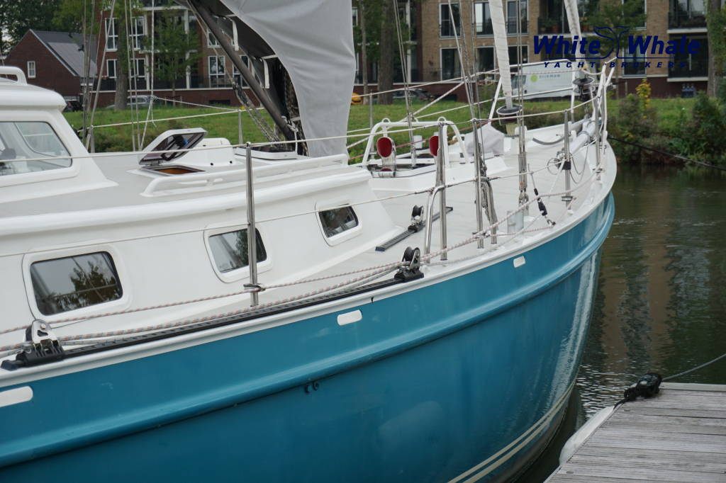 Koopmans 49 Aluminium Centerboard — foto 6 van 84