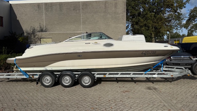 Sea ray — foto 1 van 16
