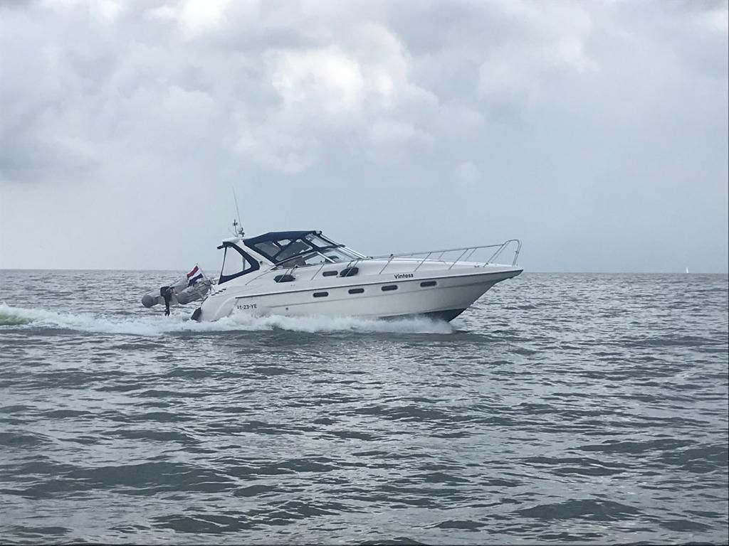 Sealine S37 — foto 4 van 26