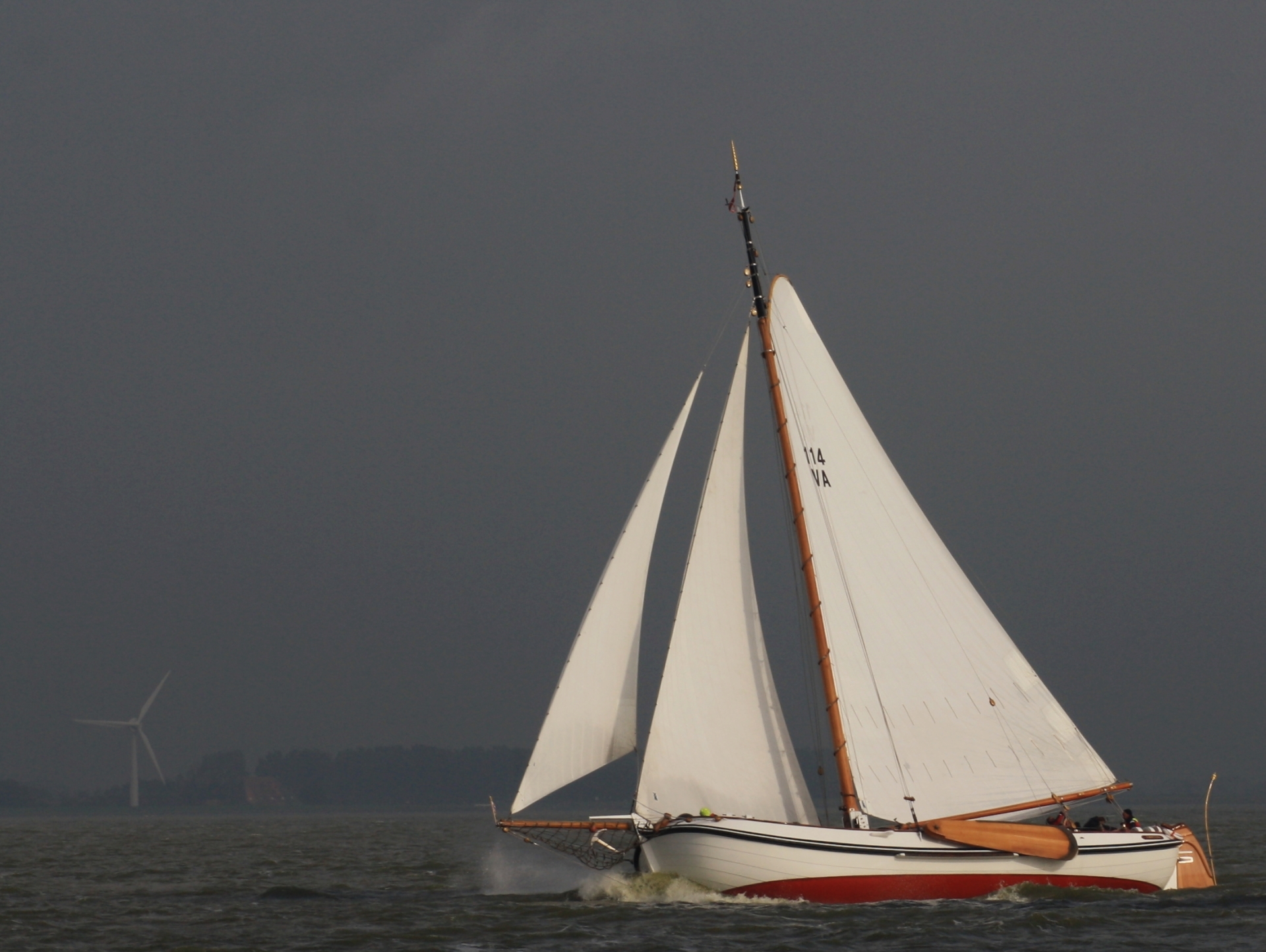 Lemsteraak Visotter - Roefuitvoering — foto 8 van 31