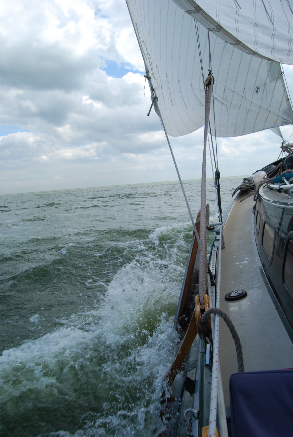 Lemsteraak Roefmodel 1010 - Dolfijn — foto 11 van 39