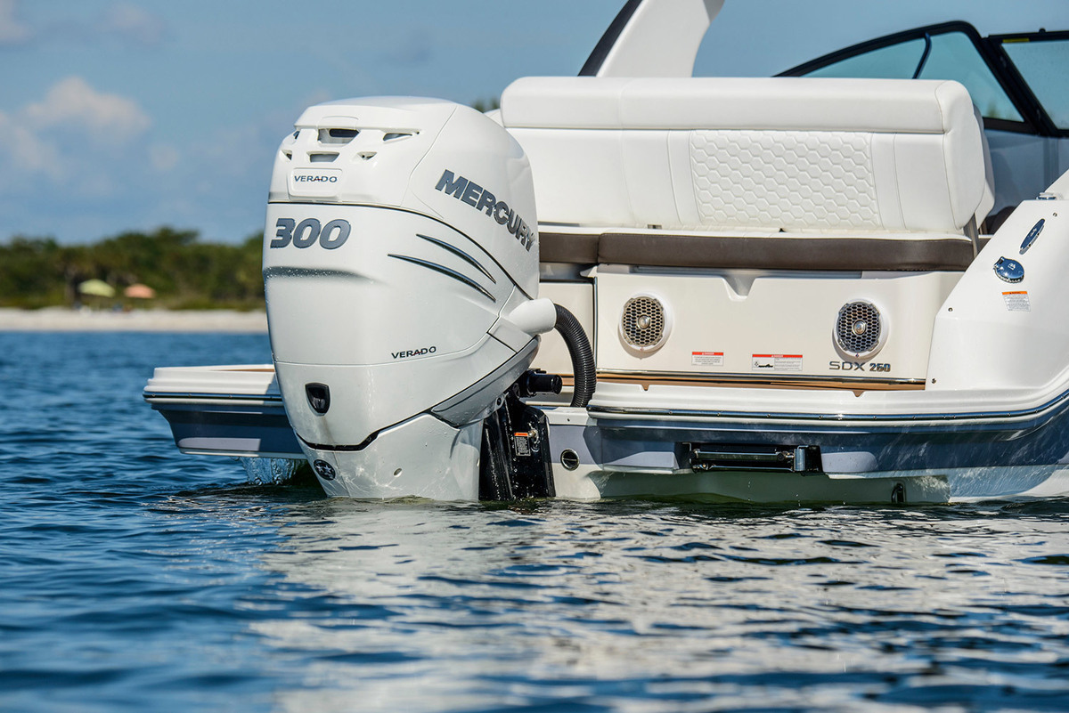 Sea Ray SDX 250 Outboard — foto 8 van 28