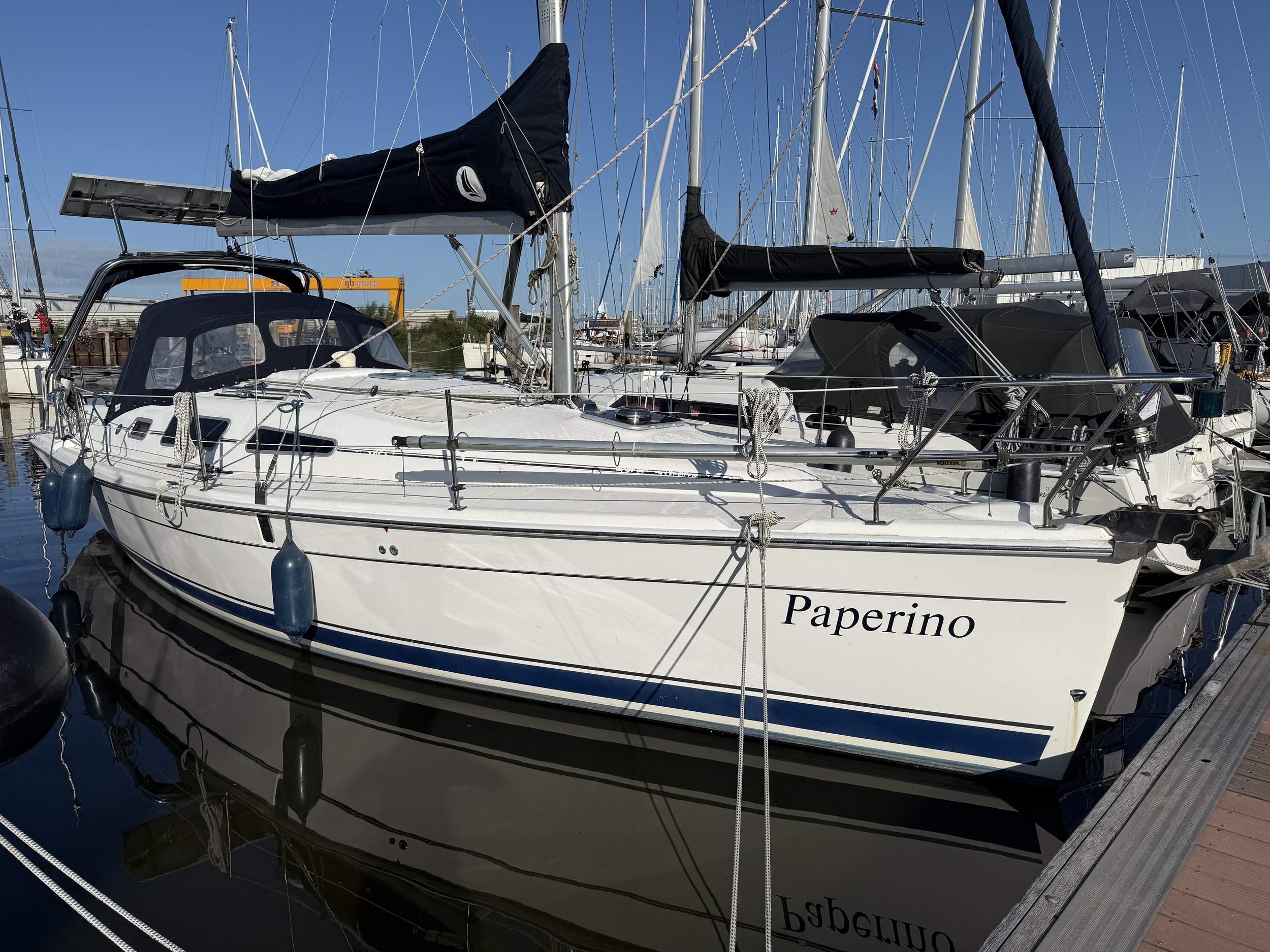 Hunter Legend 33