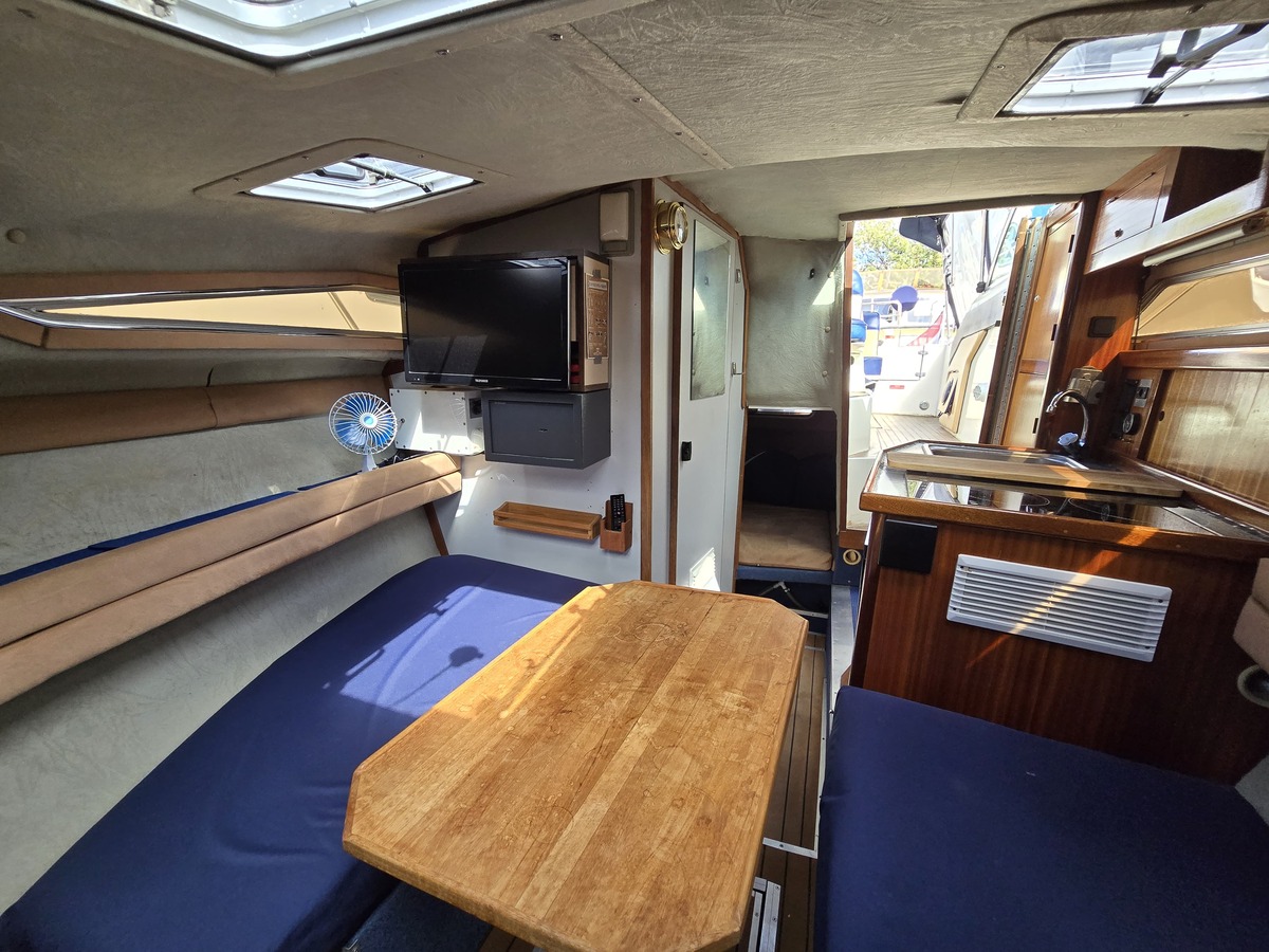 Sea Ray 220DA — foto 11 van 23