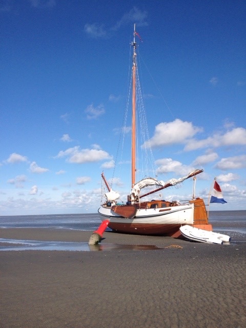 Lemsteraak Argonaut - Blom Roefaak — foto 9 van 15