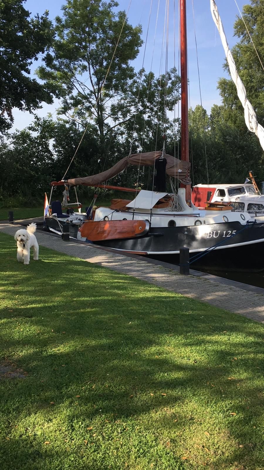 Zeeschouw 9.20 — foto 30 van 31