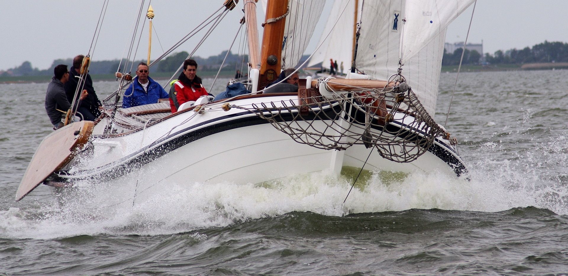 Lemsteraak Visotter - Roefuitvoering — foto 6 van 31