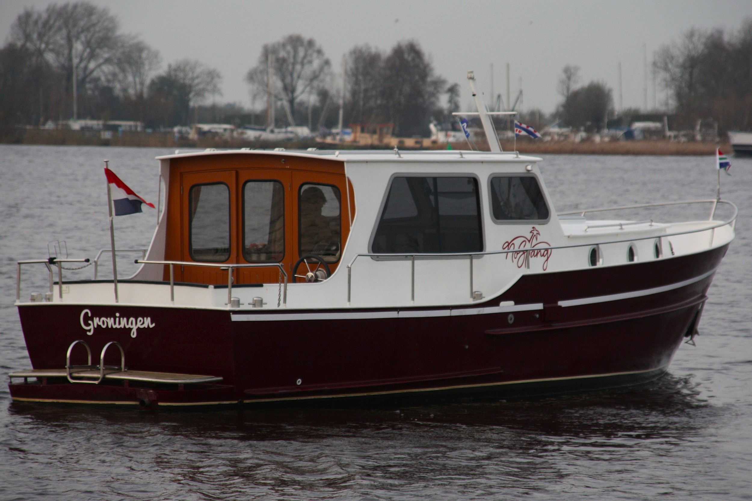 Burgemermeer 900 OK — foto 5 van 25