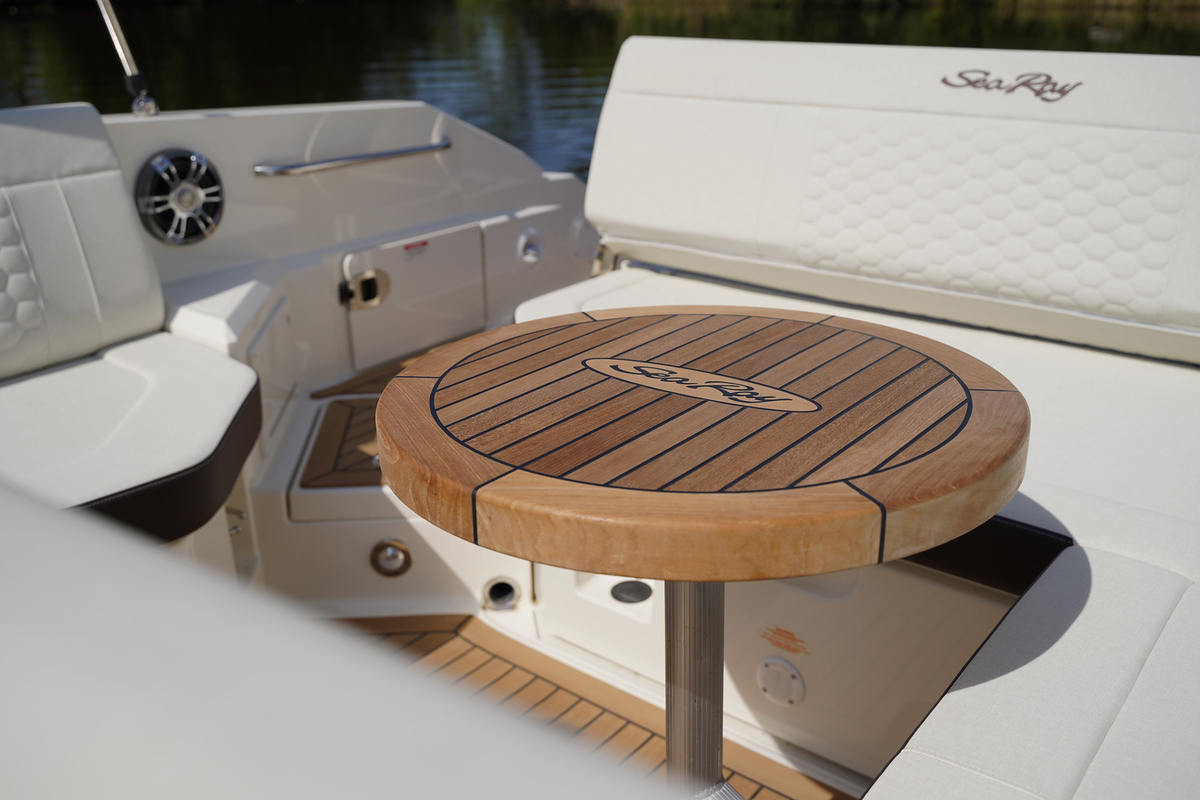 Sea Ray SDX 250 Outboard — foto 10 van 19