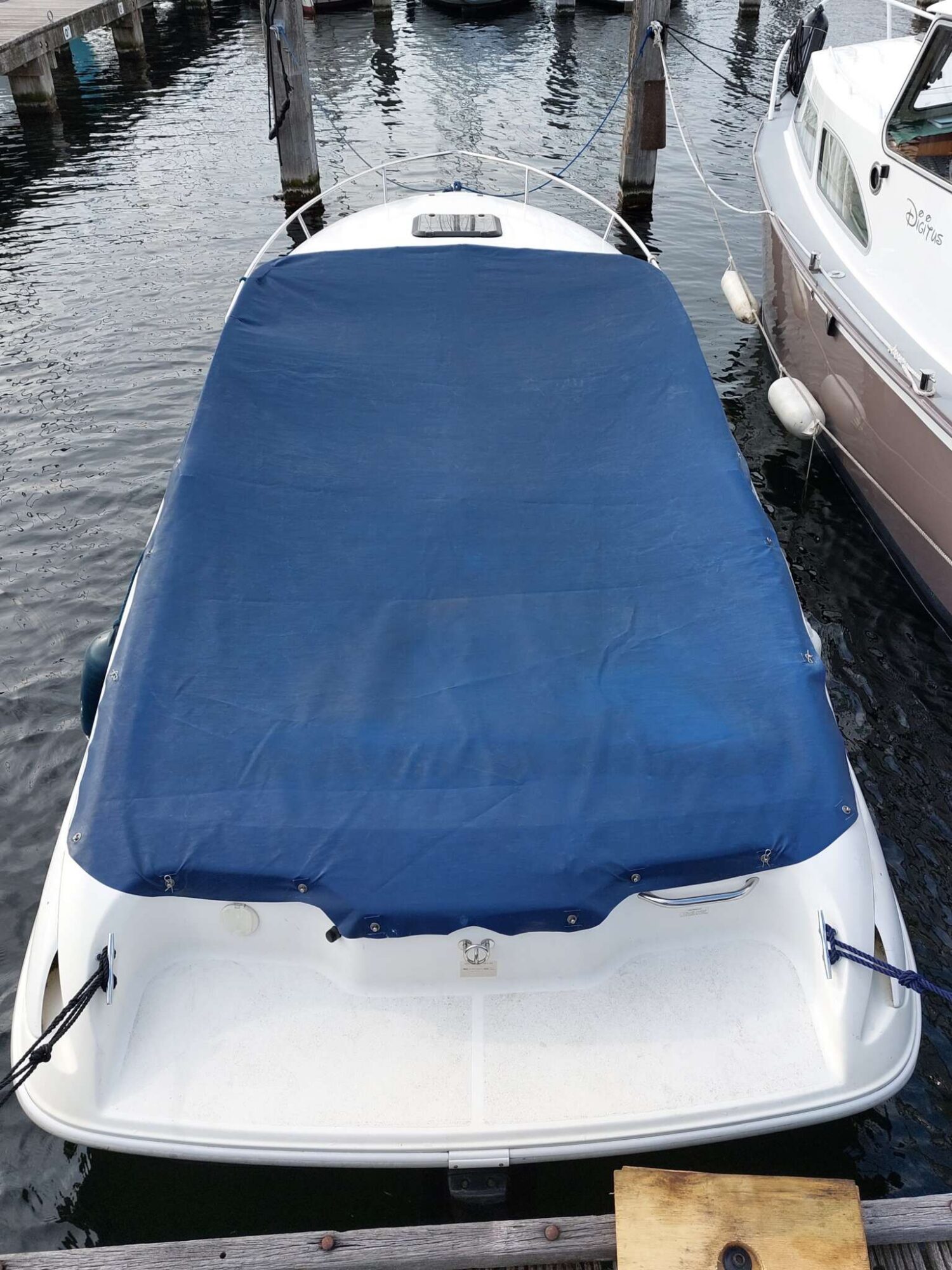Wellcraft Excel 21L — foto 4 van 19