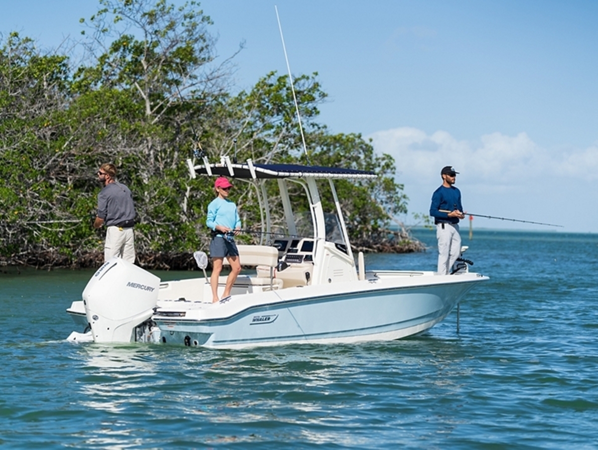 Boston Whaler 220 Dauntless — foto 11 van 17