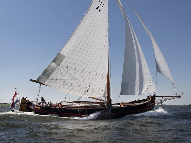 Lemsteraak Roefaak - Otter  — foto 1 van 51