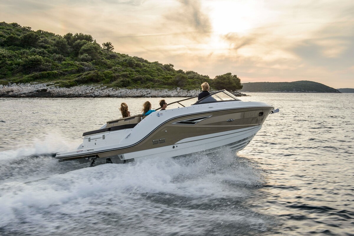 Sea Ray Sun Sport 250 — foto 6 van 73