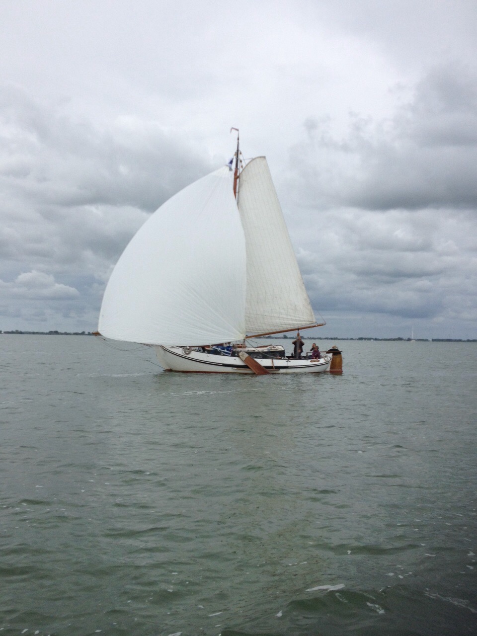 Lemsteraak Roefmodel 1010 - Dolfijn — foto 3 van 39