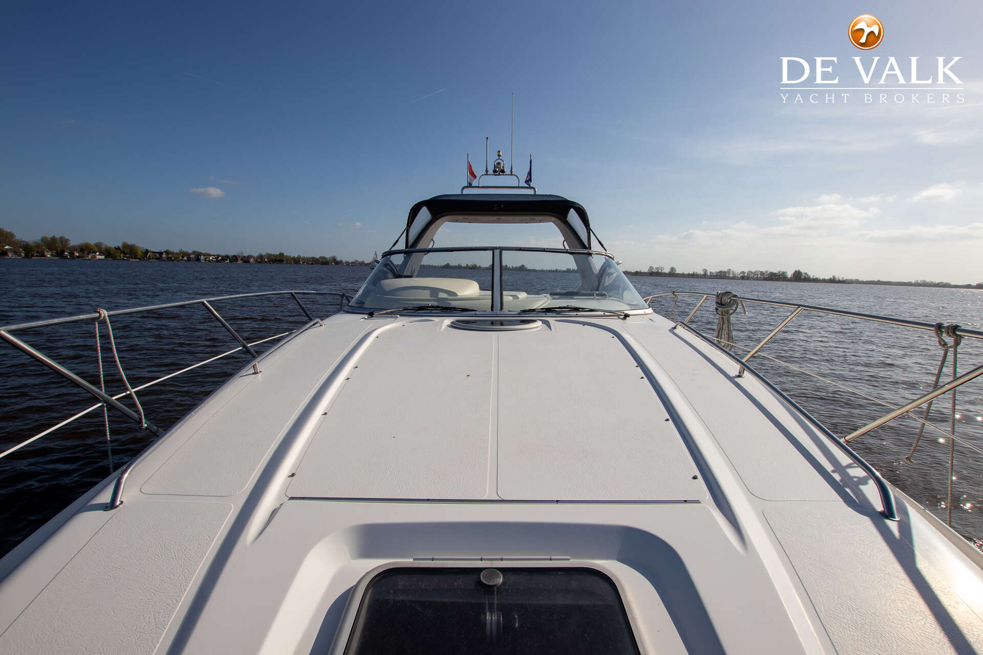 Sealine S34 — foto 17 van 41
