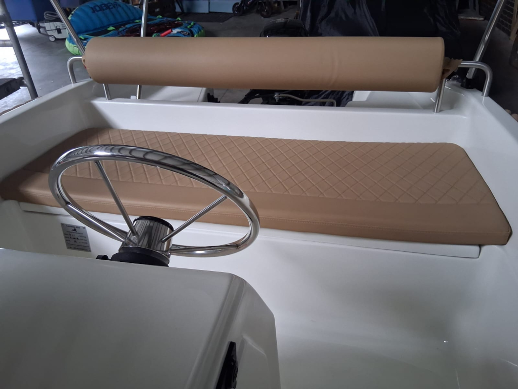 Lioness 455 — foto 8 van 12