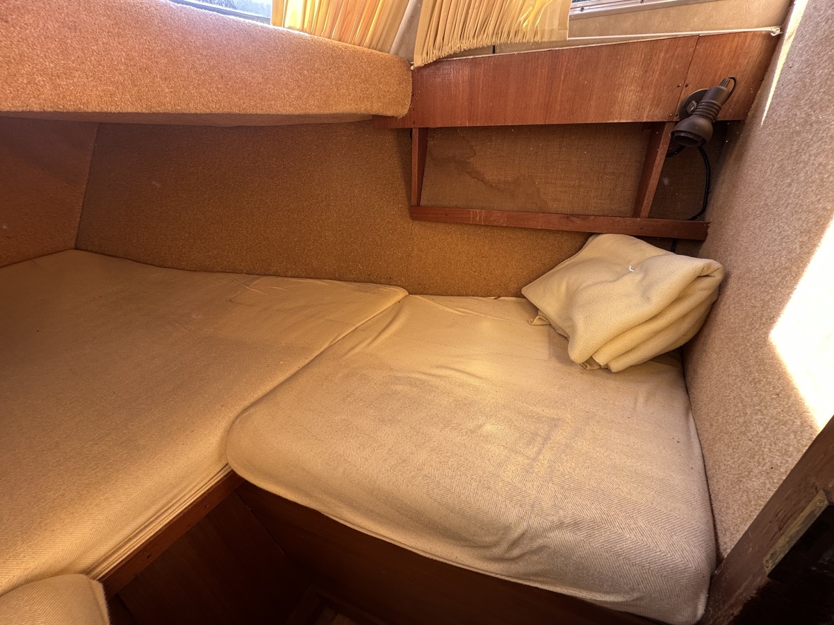 Helenakruiser Fly — foto 15 van 33