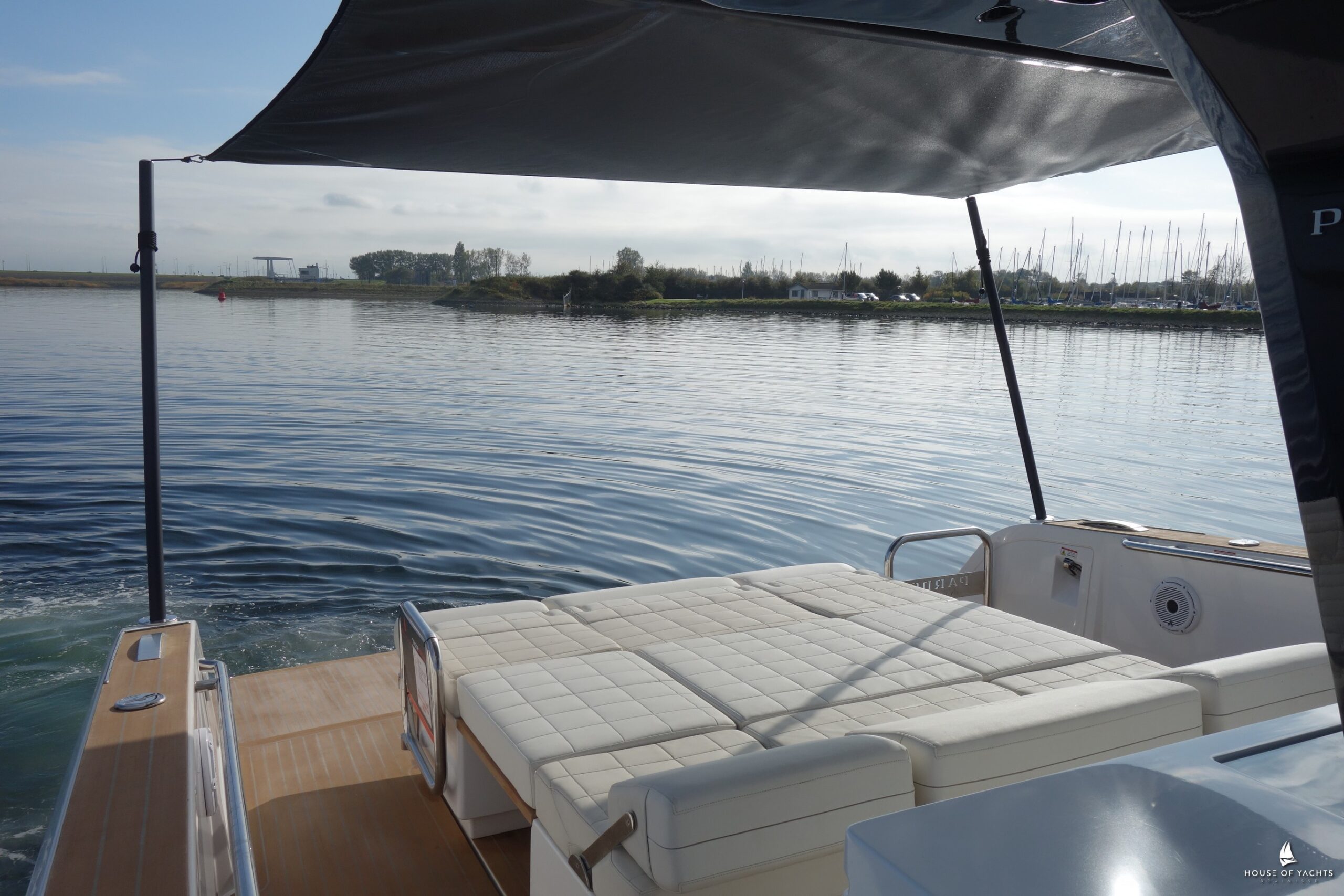 Pardo 38