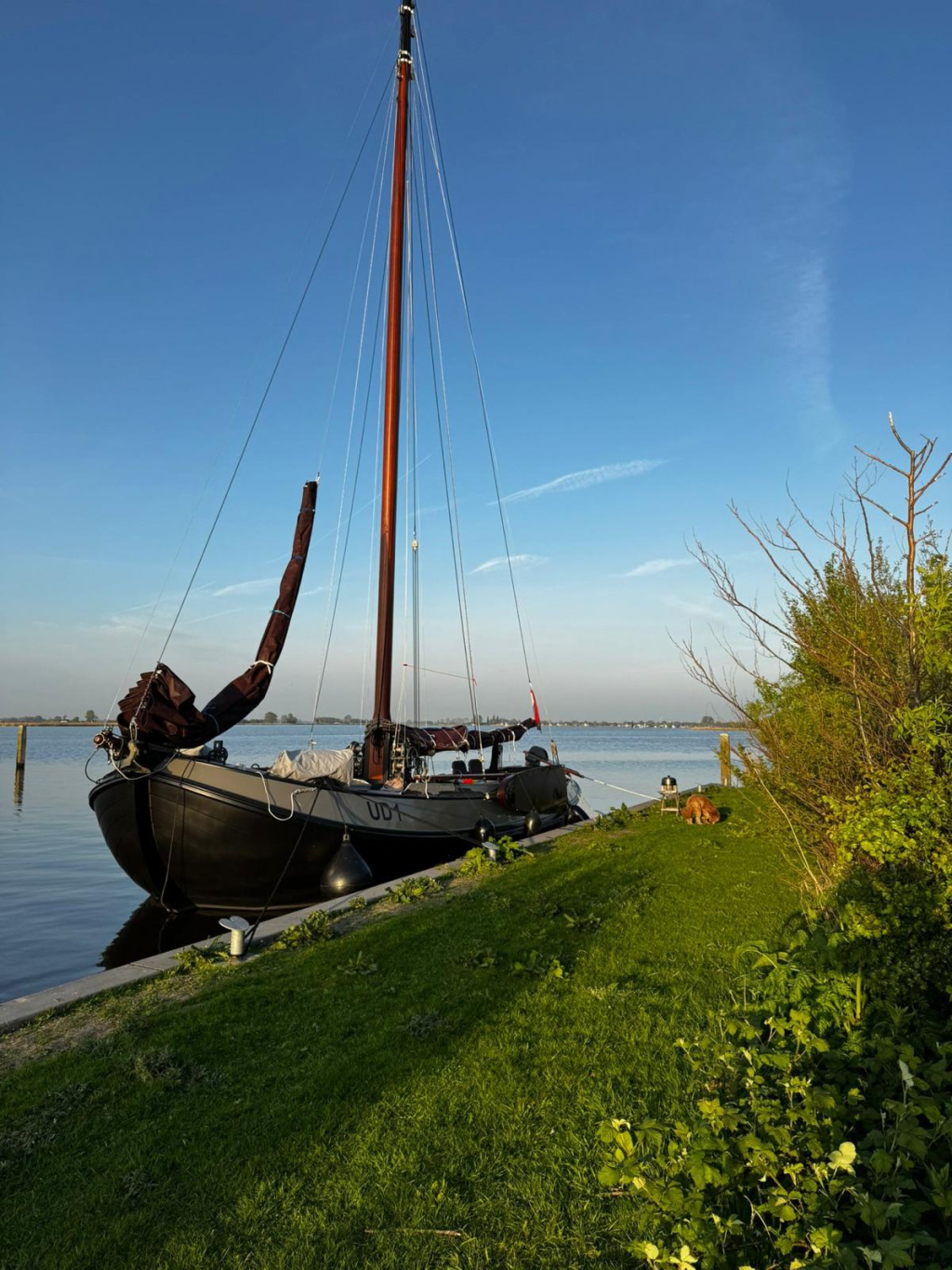 Lemsteraak UD1 — foto 70 van 70