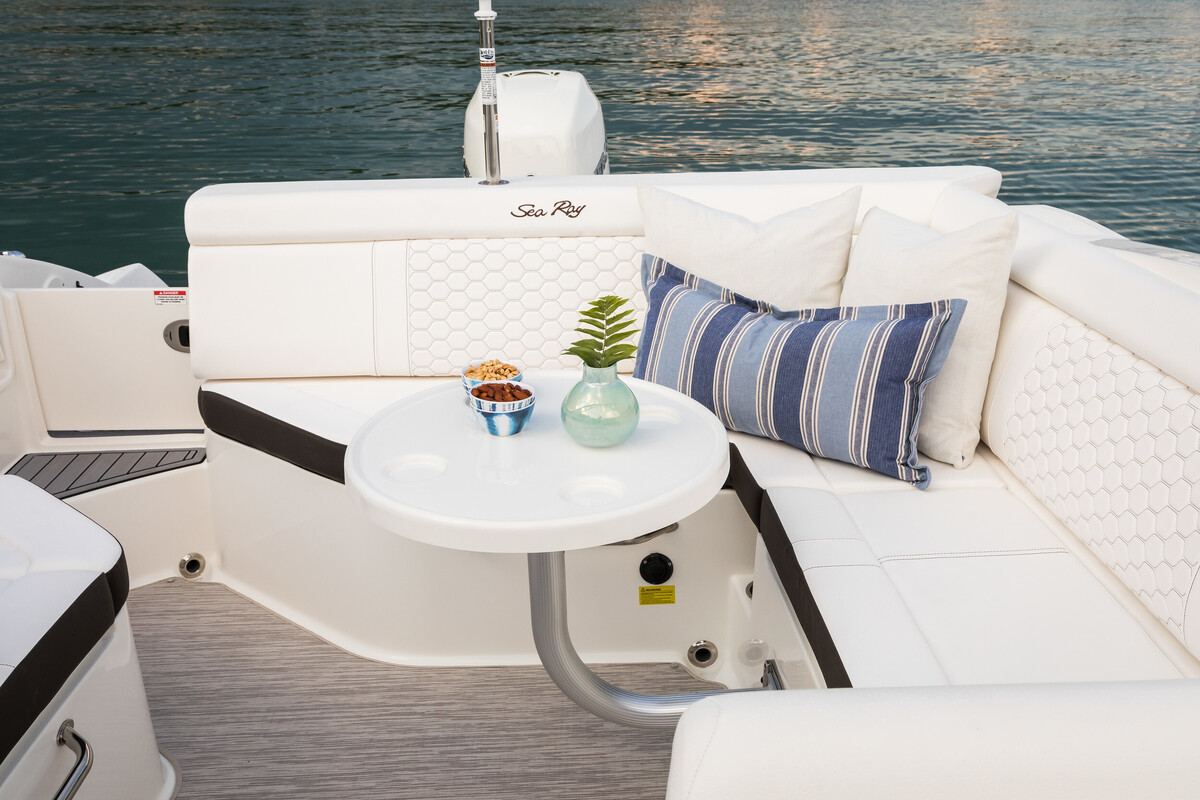 Sea Ray SDX 270 Outboard — foto 7 van 13
