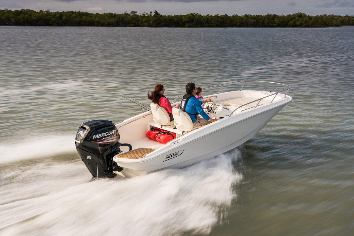 Boston Whaler 160 Super Sport — foto 3 van 19