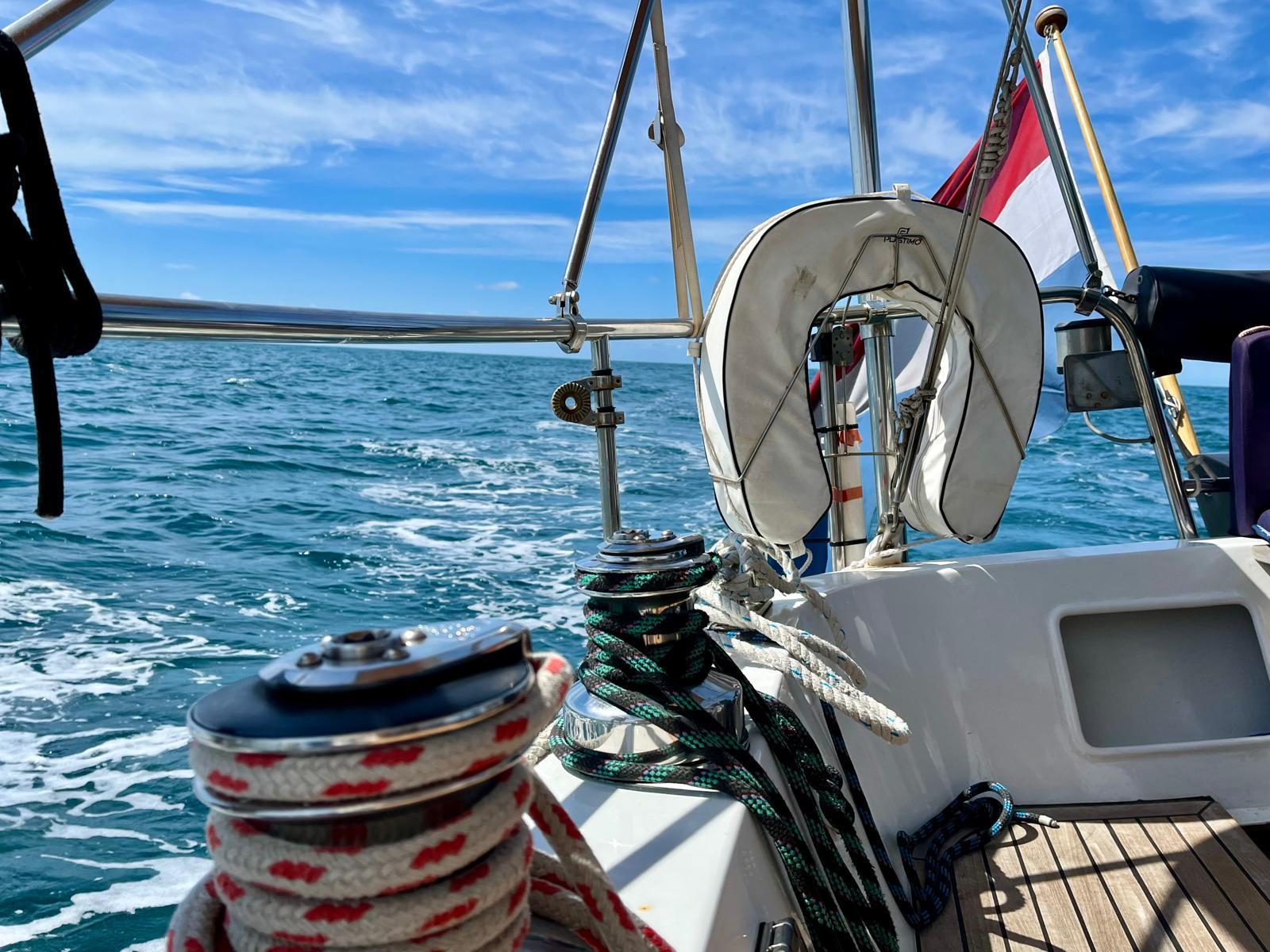 Puffin 42 — foto 10 van 37