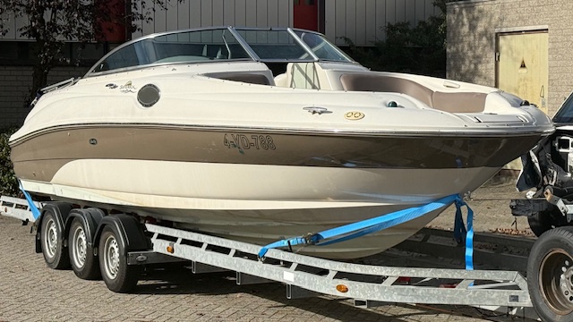 Sea ray — foto 3 van 16