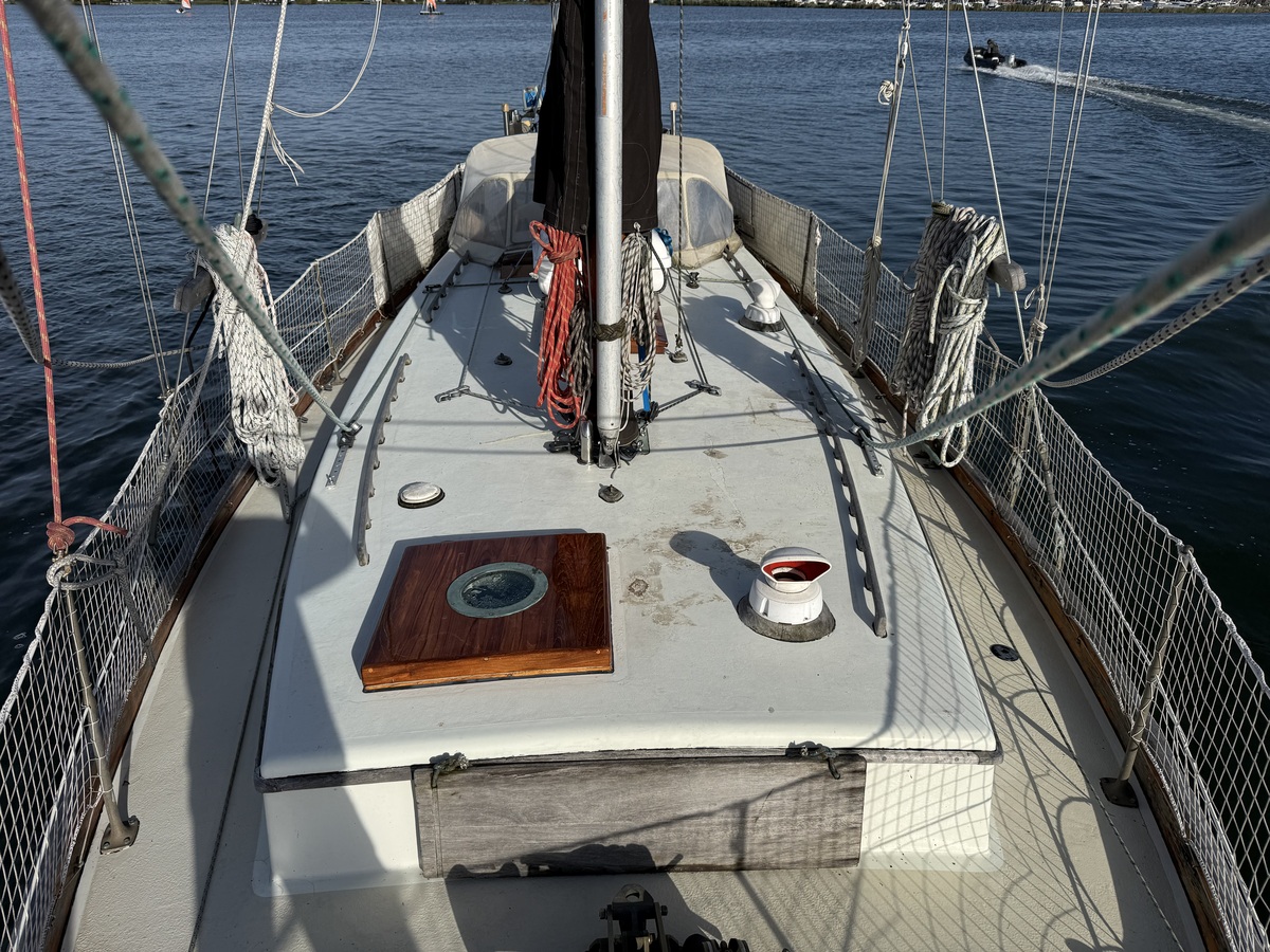 ORCA 38 — foto 62 van 74