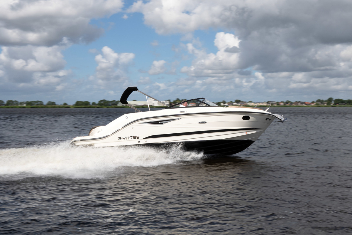 Sea Ray Sun Sport 250 — foto 4 van 46