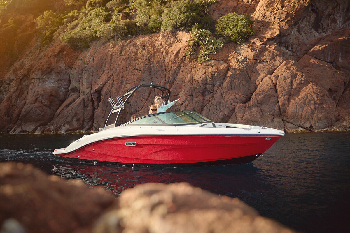 Sea Ray SPX 210 — foto 1 van 37
