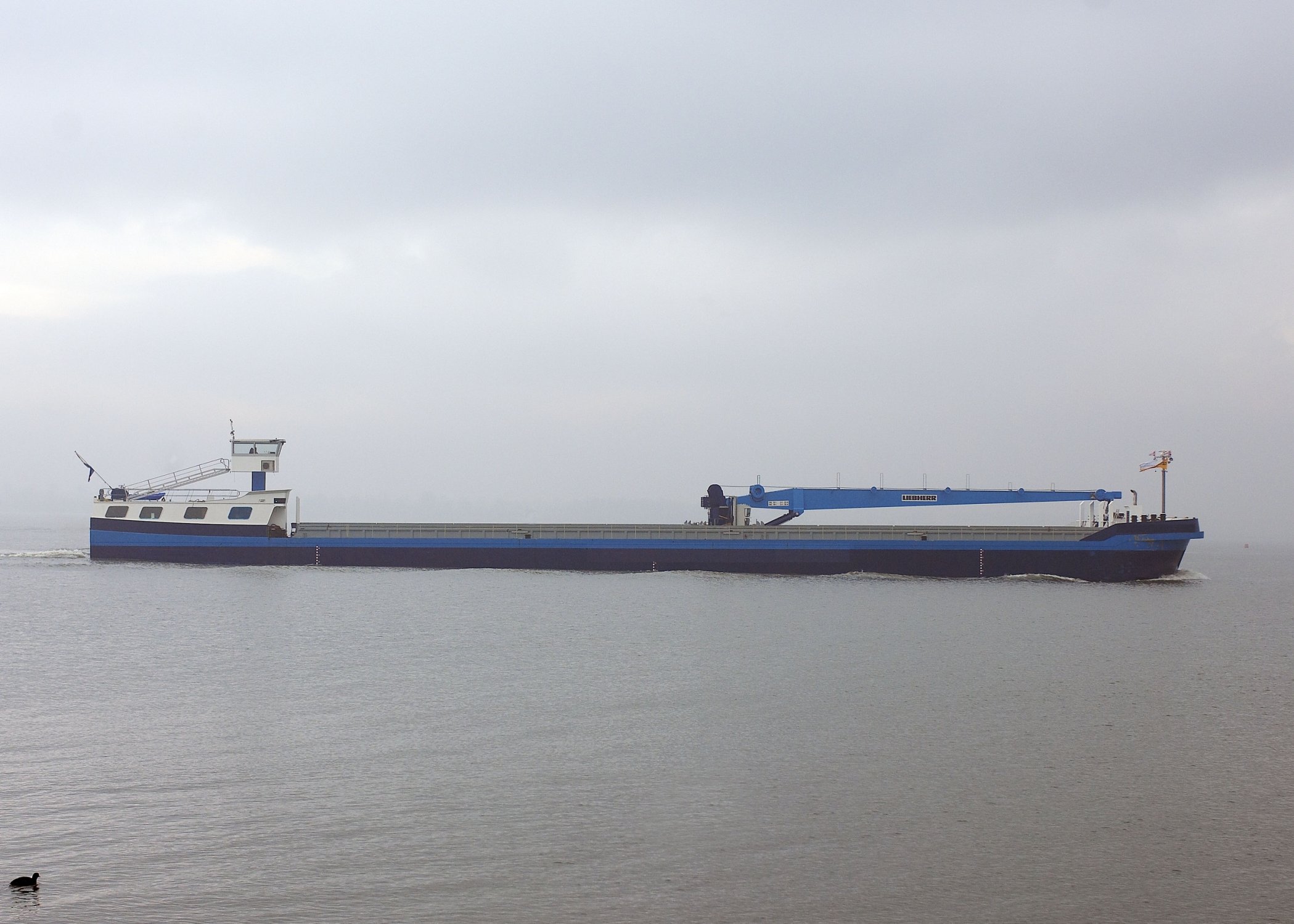 Inland Container Crane Vessel - Beroepsschip - Staal - 2005