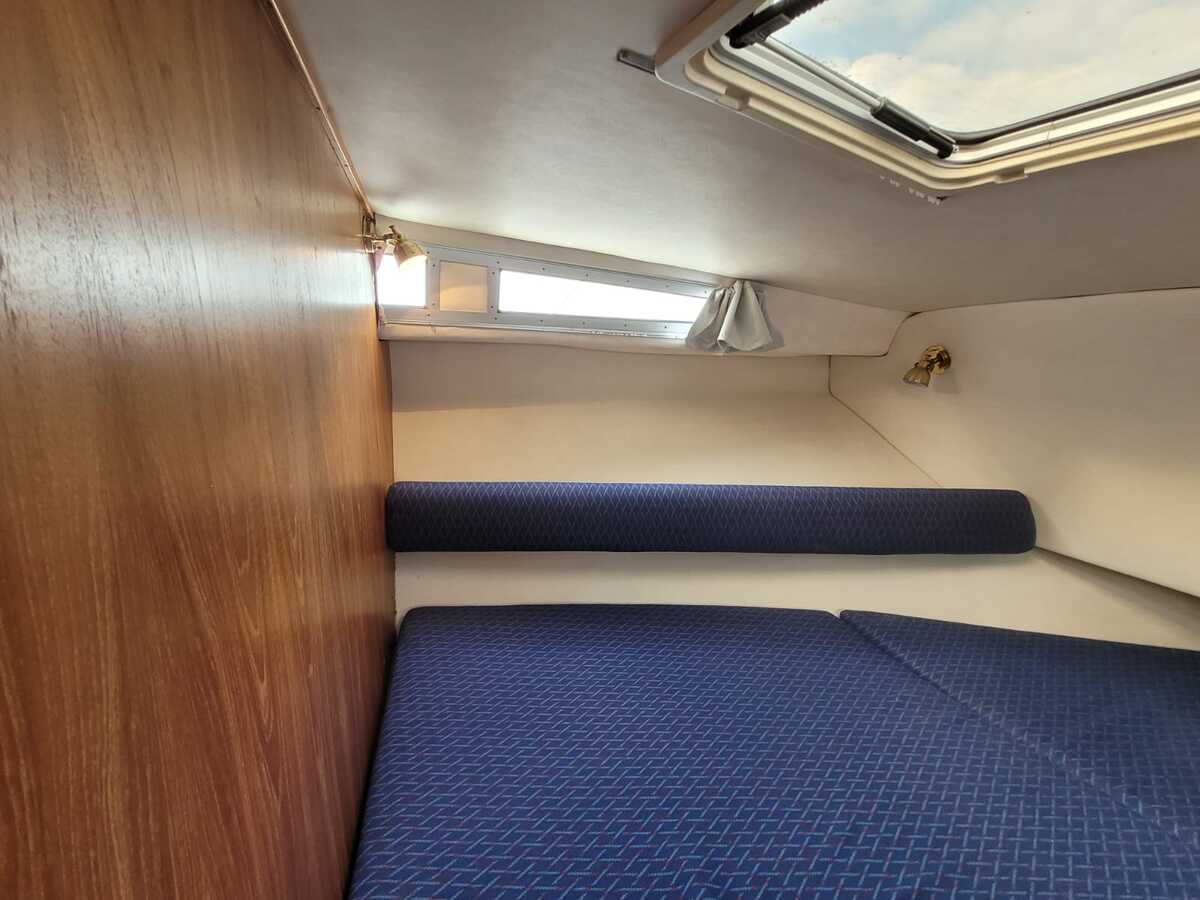 Saga 32 — foto 19 van 73