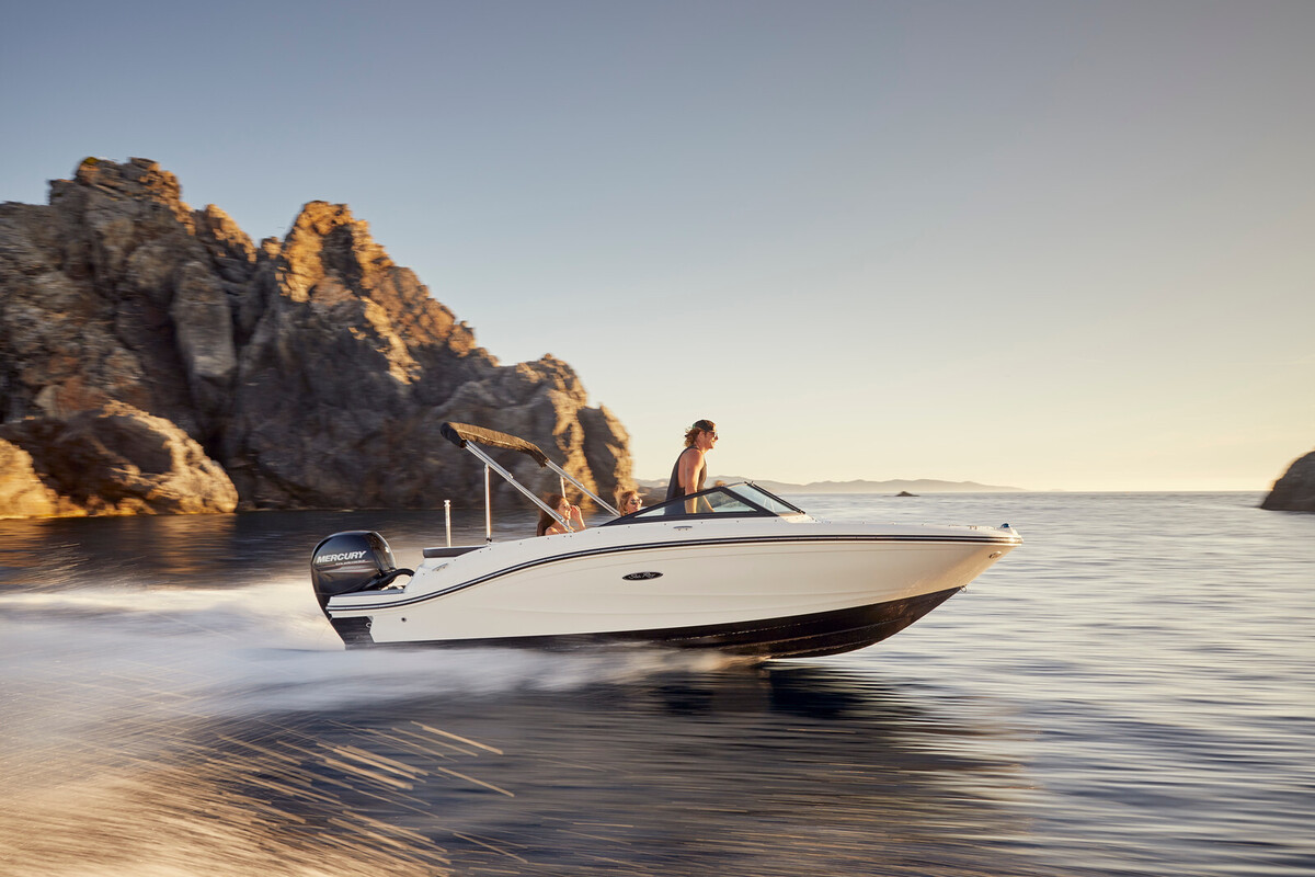 Sea Ray SPX 190 Outboard — foto 1 van 11