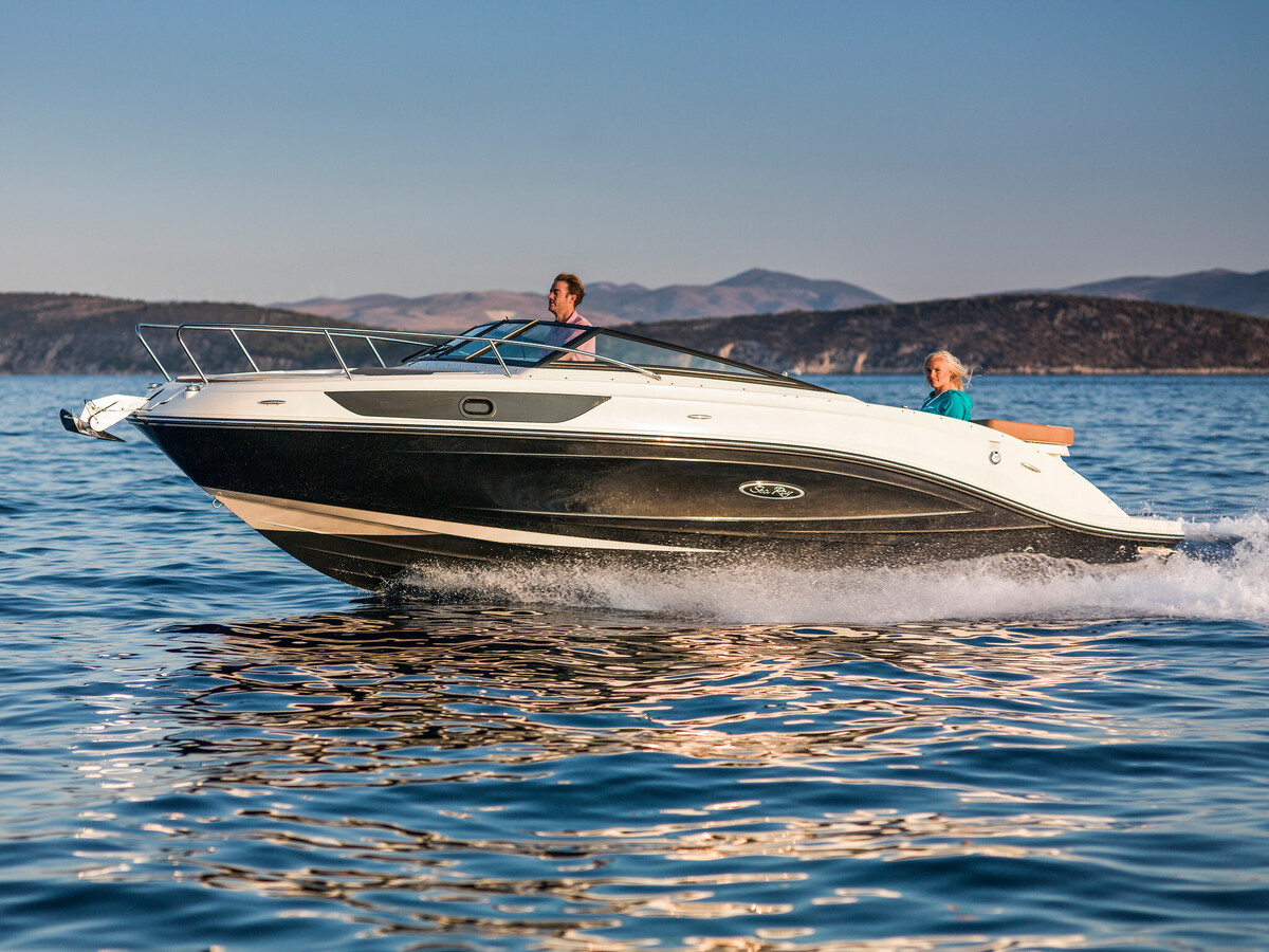 Sea Ray Sun Sport 230 — foto 2 van 13