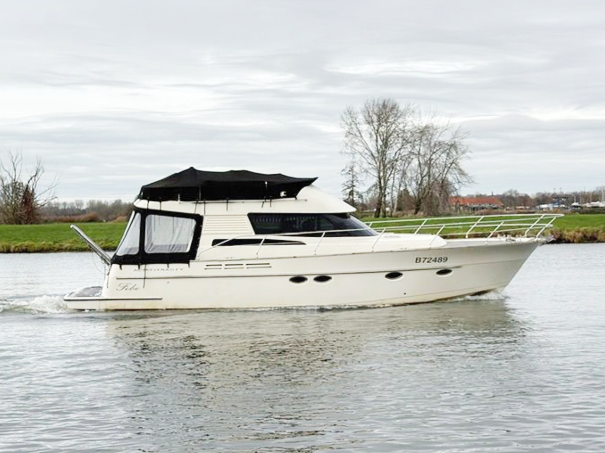 ACM Dynasty 43 Fly