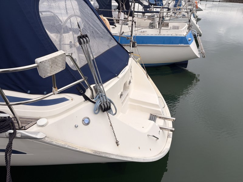 Bavaria Gmbh Bavaria 37-2 — foto 8 van 12